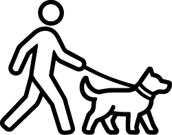 Dog Walking2